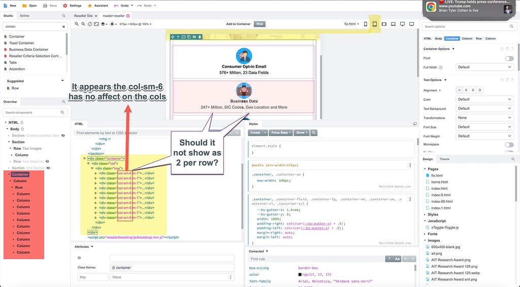 Why Oh Why won't the flexbox create 2 per line? - Bootstrap Studio Help ...