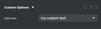 custom_options_text