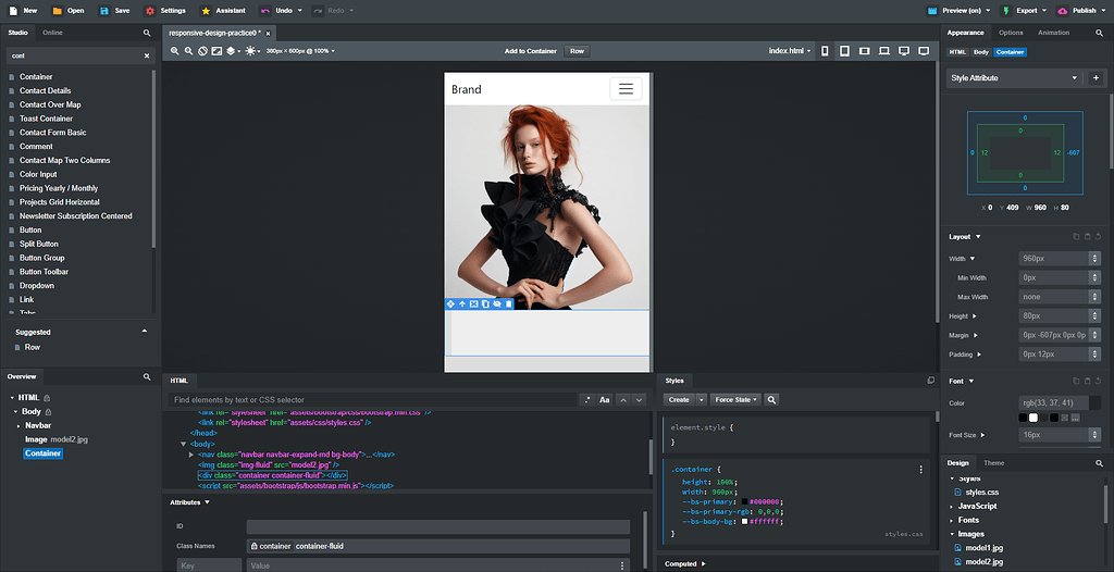 I'm confussed and so is CHATGPT - Webdesign Help - Bootstrap Studio Forum