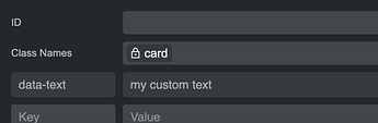 custom_options_attr
